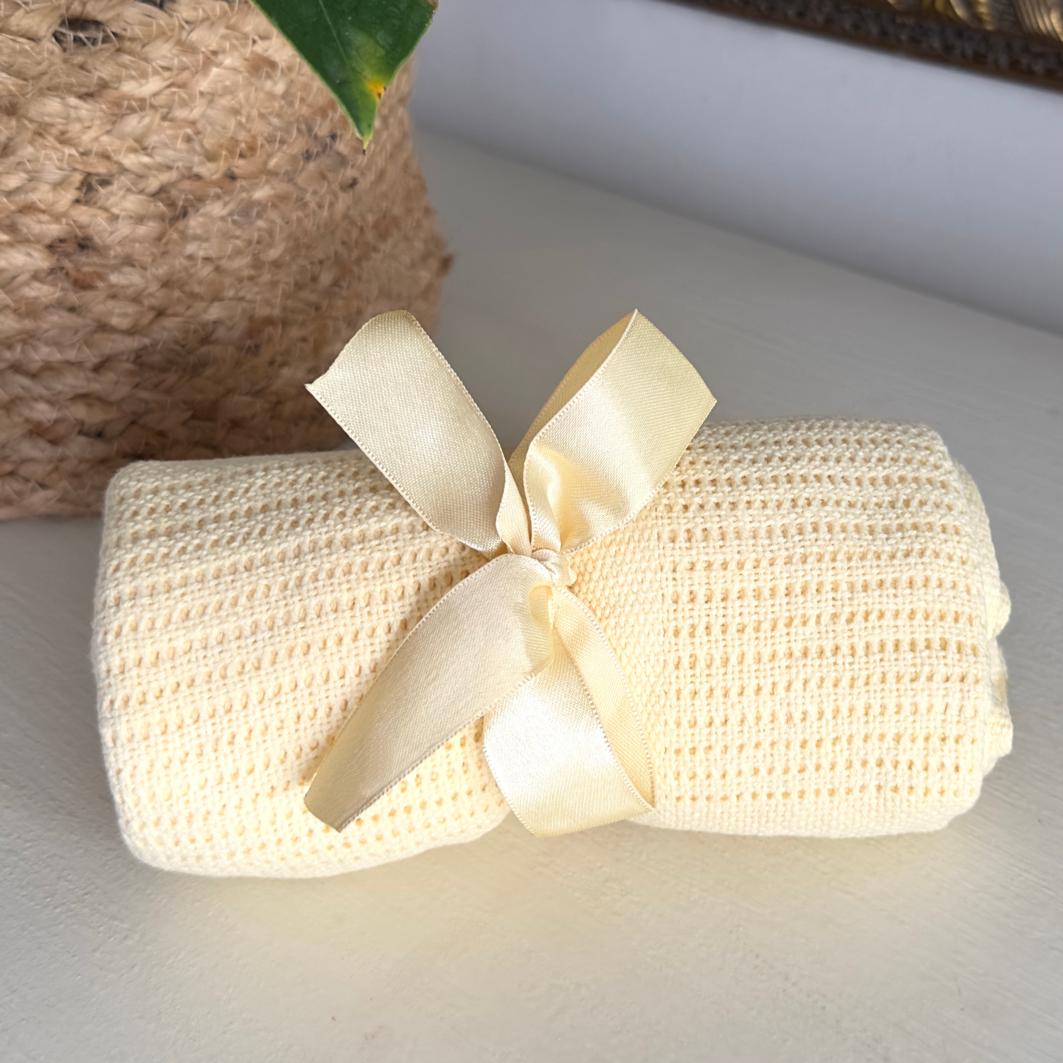 Baby Caddy Gift Set with Mary Meyer Taggies Soft Toy