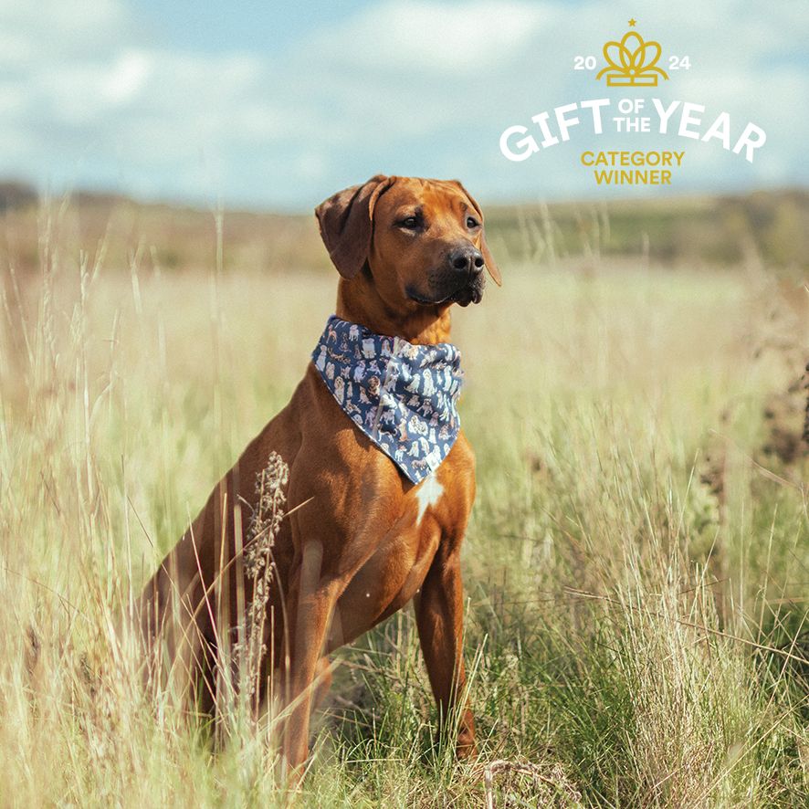 Wrendale Designs - Dog Bandana M/L