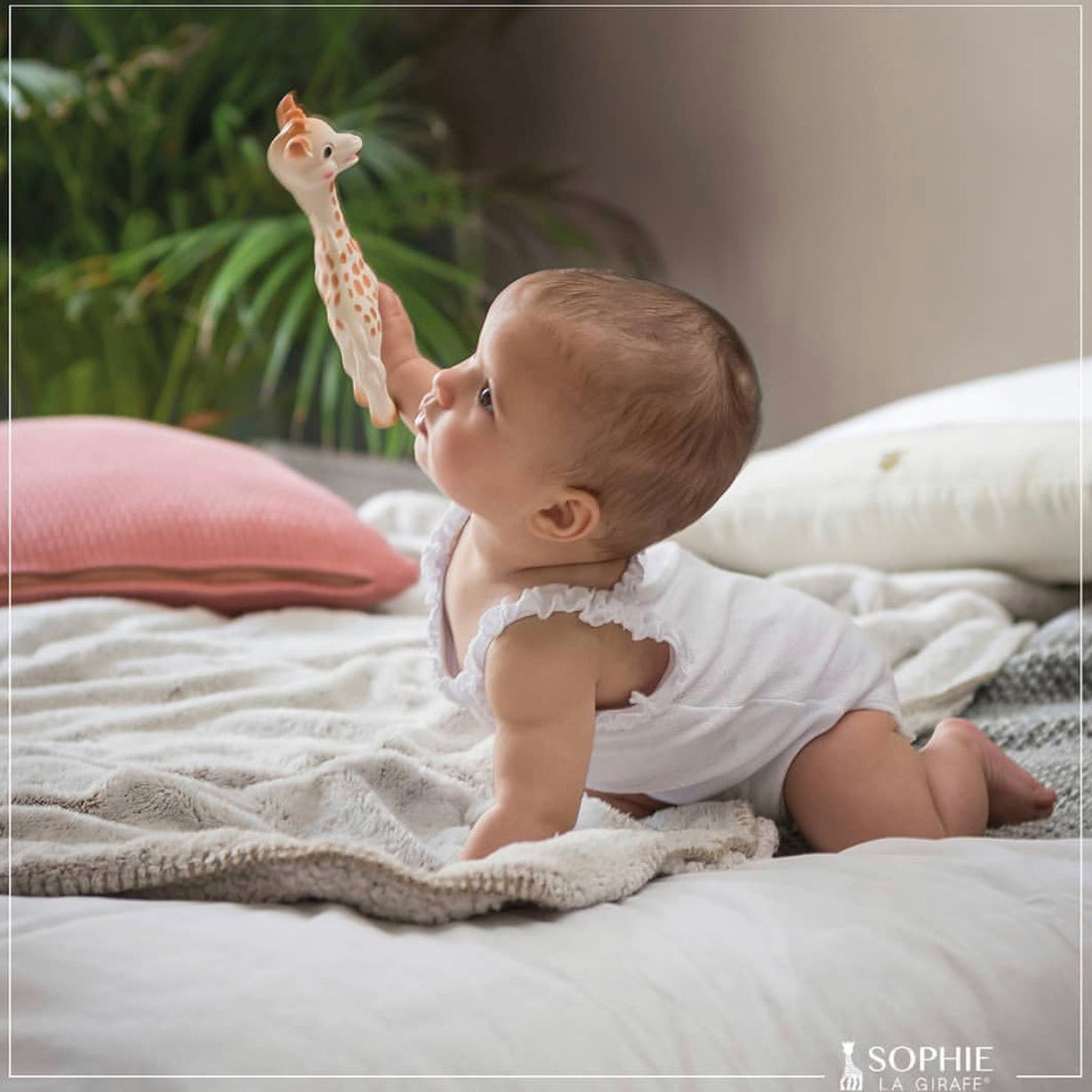 So Pure Sophie la Girafe®