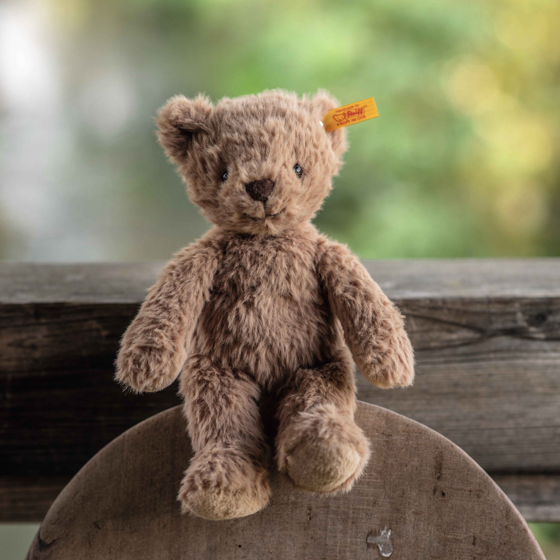 Steiff Thommy Teddy Bear