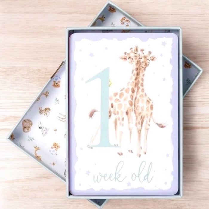 Wrendale Designs - Baby Animal Milestone Cards