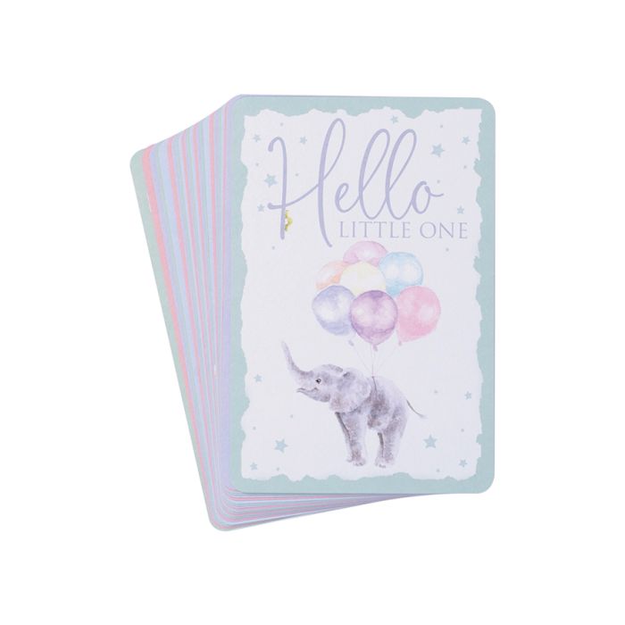 Wrendale Designs - Baby Animal Milestone Cards