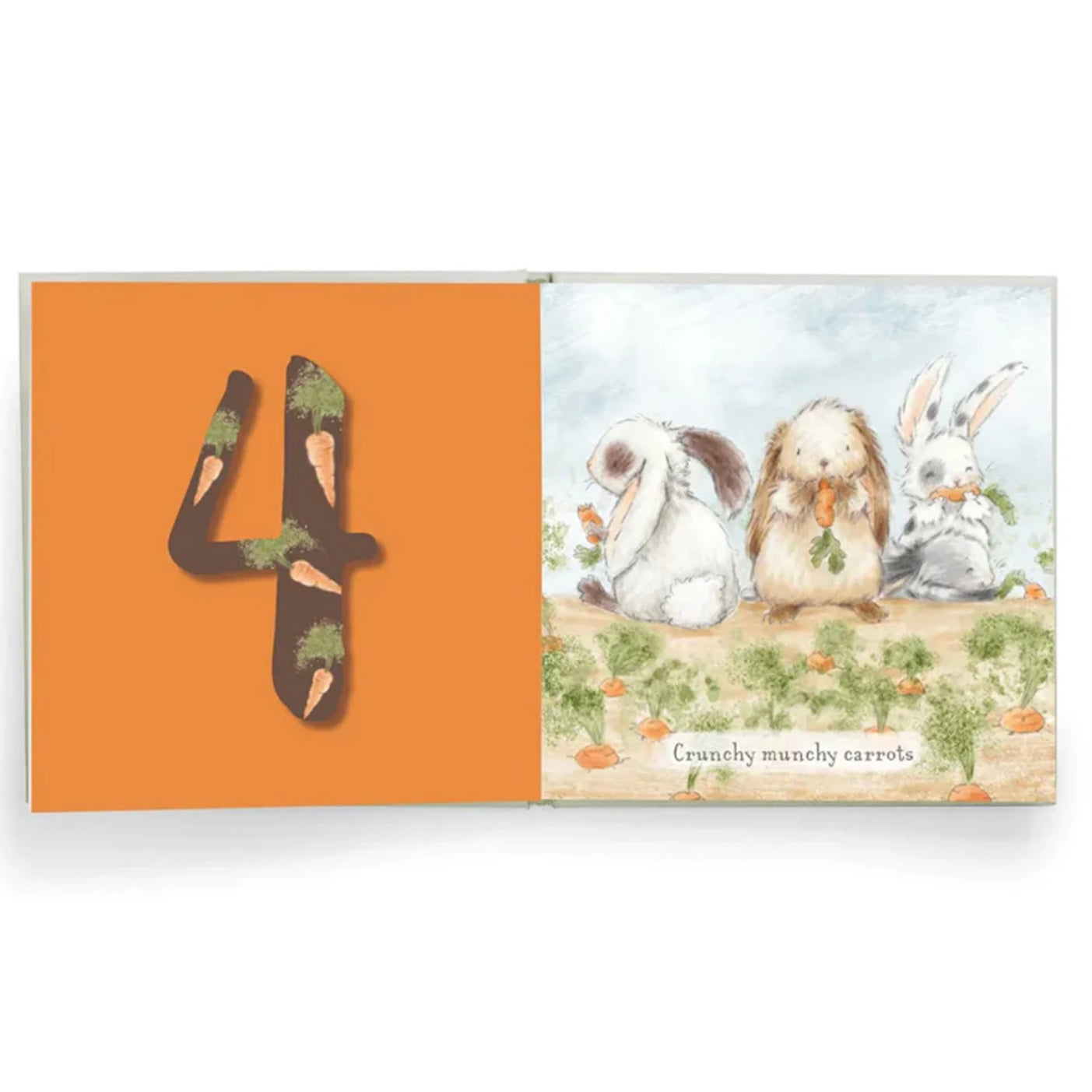 Bunnies By The Bay - Hares Play - a Counting Board Book