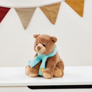 We're Going on a Bear Hunt Gift Set with Large Bear Soft Toy & Book