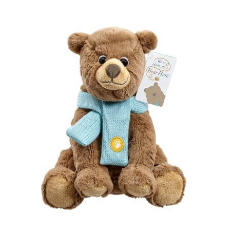 We're Going on a Bear Hunt Gift Set with Large Bear Soft Toy & Book