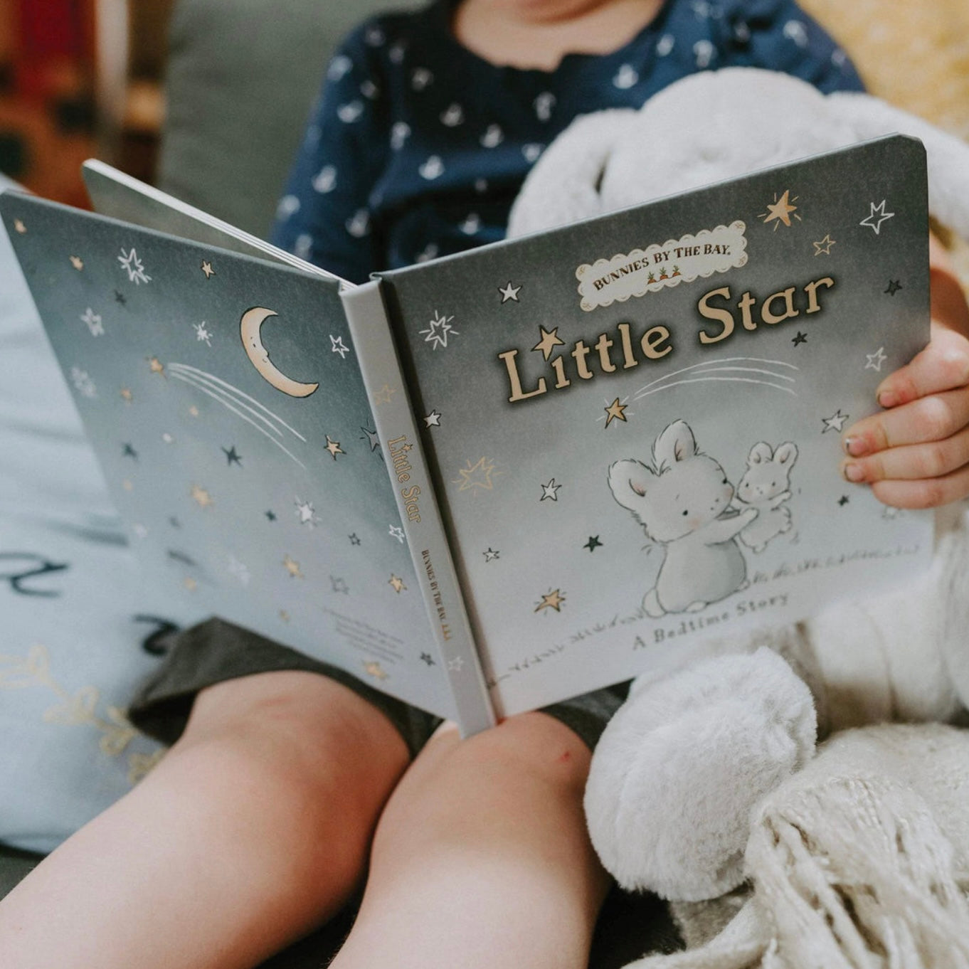 Bunnies By The Bay - Little Star Board Book - A Bedtime Story