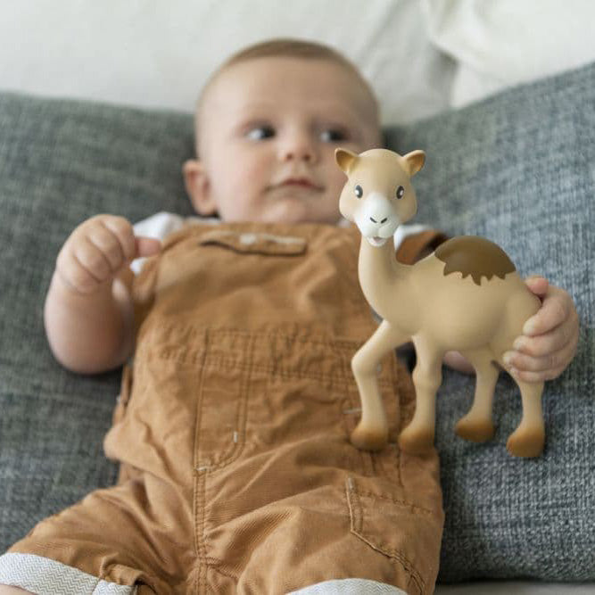 The Companion Camel from Sophie la Girafe®