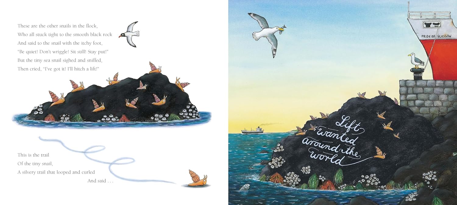 The Snail And The Whale Board Book