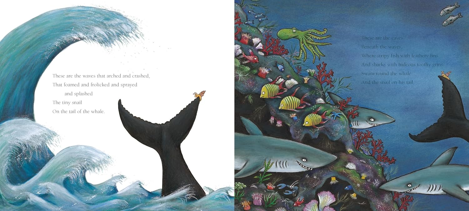 The Snail And The Whale Board Book